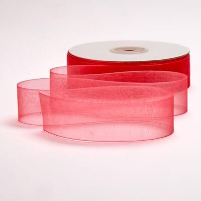 BARATTI Nastro Organza 25mm x 50m Decorativo in Poliestere Trasparente, Per Bomboniere, Regali, Feste, Fai da Te, Matrimonio, Compleanno, Artigianato, Natale, Decorazioni (Malva) BARATTI Nastro Organza 25mm x 50m Decorativo in Poliestere Trasparente, Per Bomboniere, Regali, Feste, Fai da Te, Matrimonio, Compleanno, Artigianato, Natale, Decorazioni (Malva)