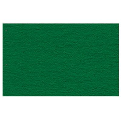 URSUS Cartoncino, formato A4, 130 g/m2, 100 fogli, colore: Verde scuro URSUS Cartoncino, formato A4, 130 g/m2, 100 fogli, colore: Verde scuro