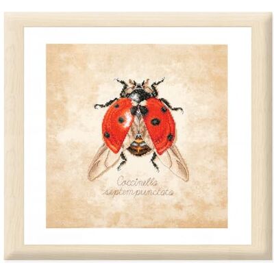 Lanarte Kit Punto Croce Contato COCCINELLA SEPTEMPUNCTATA Decorativi Per Pareti 21 x 21 cm Set Fai Da Te Creativo Adulti Ricamo Casa Decor Arte Da Parete Kit Per Hobby Cross Stitch Lanarte Kit Punto Croce Contato COCCINELLA SEPTEMPUNCTATA Decorativi Per Pareti 21 x 21 cm Set Fai Da Te Creativo Adulti Ricamo Casa Decor Arte Da Parete Kit Per Hobby Cross Stitch