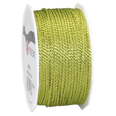 PRÄSENT C.E. Pattberg Mosel Cordino, 2 mm x 50 m, colore: verde lime PRÄSENT C.E. Pattberg Mosel Cordino, 2 mm x 50 m, colore: verde lime