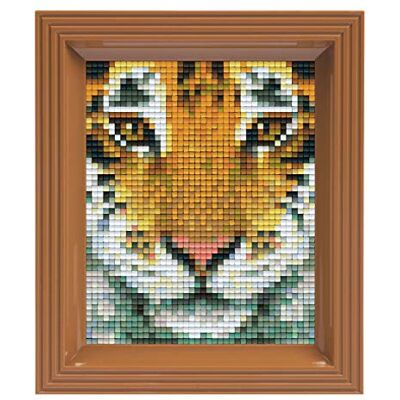 Pracht Creatives Hobby Pixel Mosaico da regalo tigre, immagine pixel con cornice, sistema plug-in facile da usare, senza stirare o incollare, pietre in bio-plastica Pracht Creatives Hobby Pixel Mosaico da regalo tigre, immagine pixel con cornice, sistema plug-in facile da usare, senza stirare o incollare, pietre in bio-plastica