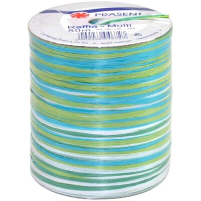 PRÄSENT C.E. PATTBERG Raffia Multicolor Cordino in rafia naturale verde-blu-bianco, lungh. 50 m, nastro per pacchi regalo, spago per decorazioni a 5 fili per accessori, bricolage e fai da te PRÄSENT C.E. PATTBERG Raffia Multicolor Cordino in rafia naturale verde-blu-bianco, lungh. 50 m, nastro per pacchi regalo, spago per decorazioni a 5 fili per accessori, bricolage e fai da te