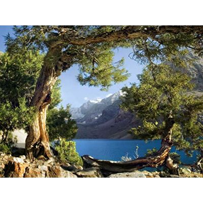AG Design Photo Wall Mural, Multicolore, 18 x 127 AG Design Photo Wall Mural, Multicolore, 18 x 127