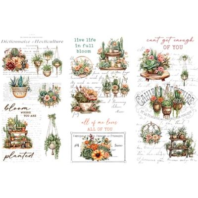 Thymeless Designs (Succulent Garden) Trasferimenti per decorazioni per la casa, 3 fogli di design, 15,2 x 30,5 cm, adesivi per mobili e artigianato, da Thymeless Designs (Succulent Garden) Trasferimenti per decorazioni per la casa, 3 fogli di design, 15,2 x 30,5 cm, adesivi per mobili e artigianato, da