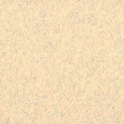 Clairefontaine Confezione Ingres-Pastello, 50 x 65 cm, 25 Fogli, Beige Marmorizzato Clairefontaine Confezione Ingres-Pastello, 50 x 65 cm, 25 Fogli, Beige Marmorizzato
