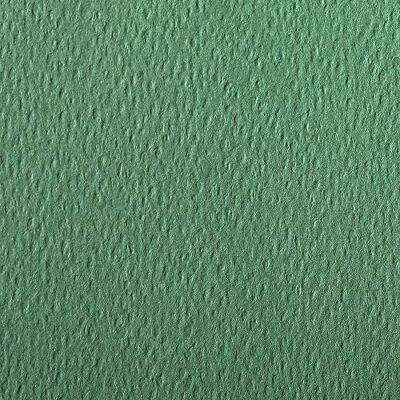 Clairefontaine Pochette carta da disegno colorata Etival Color, doppia grana, 25 fogli 21x29.7 cm 160 g, verde scuro Clairefontaine Pochette carta da disegno colorata Etival Color, doppia grana, 25 fogli 21x29.7 cm 160 g, verde scuro