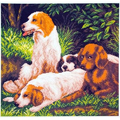 RTO Collezione d' Arte Stampato Punto Croce, 41 x 41 cm RTO Collezione d' Arte Stampato Punto Croce, 41 x 41 cm