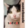 elhossaini, nourddin notebook sad cat.: size 8.5 *11 inch / 200 page. glossy cover sketchbook. notebook.for kids ages 3-6