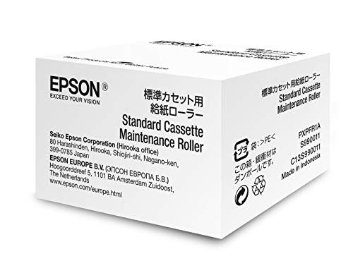 Epson Standard Tassa di Manutenzione, Grigio