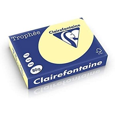 Clairefontaine Trophée 1977C, 500 Fogli di Carta Colorata, Foglia di Tè Clairefontaine Trophée 1977C, 500 Fogli di Carta Colorata, Foglia di Tè