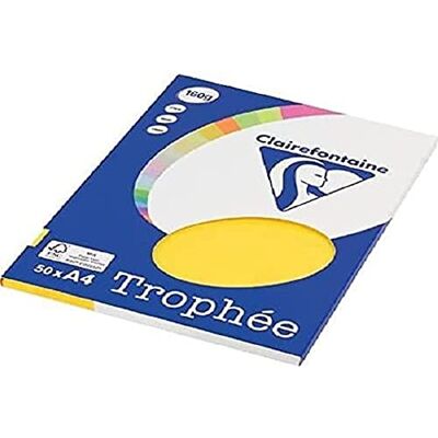 Clairefontaine 4167C Trophée Mini ReSMA de carta, 50 fogli, A4, 160 g, Giallo Sole Clairefontaine 4167C Trophée Mini ReSMA de carta, 50 fogli, A4, 160 g, Giallo Sole