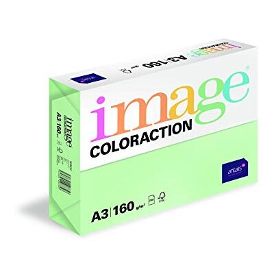 IMAGE Immagine coloraction carta colorata, 250 fogli, A3, BB, holzfrei ECF, 160 G/M², 420 mm x 297 mm, Forest/Verde IMAGE Immagine coloraction carta colorata, 250 fogli, A3, BB, holzfrei ECF, 160 G/M², 420 mm x 297 mm, Forest/Verde