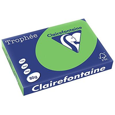 Clairefontaine Trophee – Risma di 500 fogli di Carta colorata, 80 g A3 verde menta Clairefontaine Trophee – Risma di 500 fogli di Carta colorata, 80 g A3 verde menta