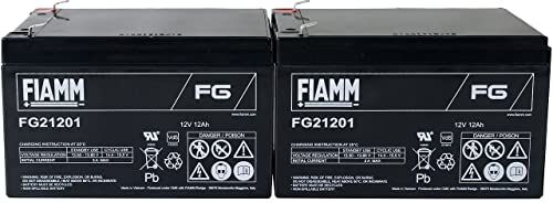 FIAMM Batteria ricaricabile da cambio per APC RBC 6