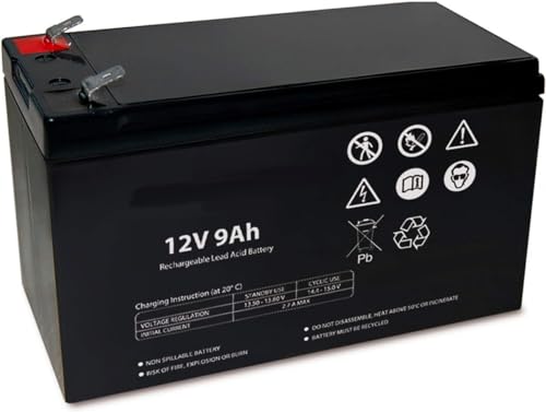 ANFEL Batteria Ermetica al Piombo 12 V Capacità 9 Ah, per UPS, Sistemi di Videosorveglianza e Allarme, Attacco Faston 6.3 mm, Dimensioni 15.1 x 9.4 x 6.5 cm