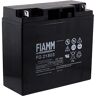 FIAMM Batteria di Ricambio ups APC Smart-ups 1500, 12V, Lead-Acid