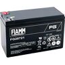 FIAMM FG20721 batteria UPS 7,2 Ah 12 V Batteria UPS (Nero, 7,2 Ah, 12 V, 1 pezzo(i), 5 anno/i, 2,43 lb)