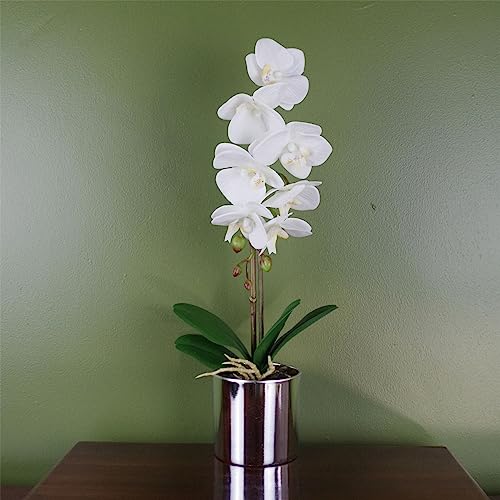 Leaf Orchidea artificiale bianca con vaso argentato, 46 cm