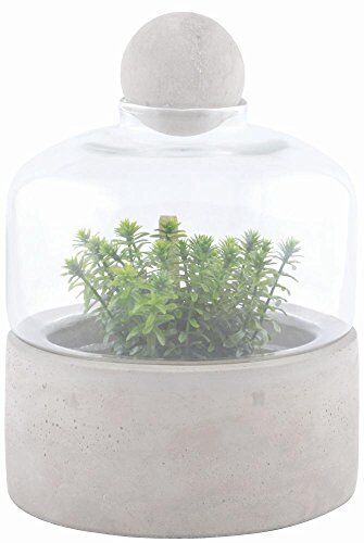 Esschert Design bottiglia Terrarium Planter con base in cemento, piccolo