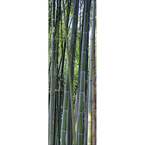 Plage – Adesivo per cucine e Frigorifero, Foresta di bambù – Vinile 180 x 0.1 x 59,5 cm, Multicolore