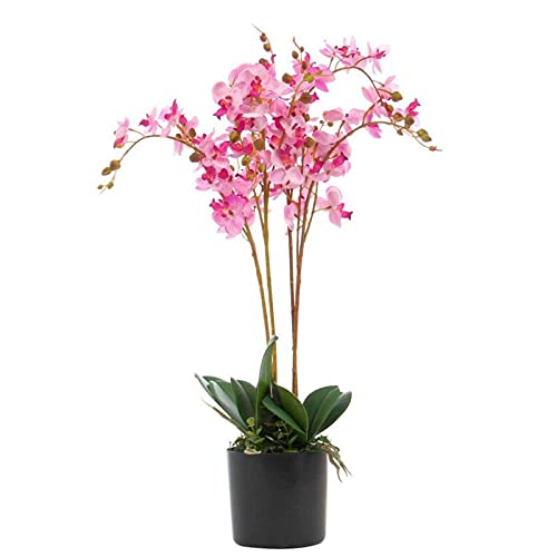 Leaf Foglia Design UK realistico orchidea artificiale in vaso
