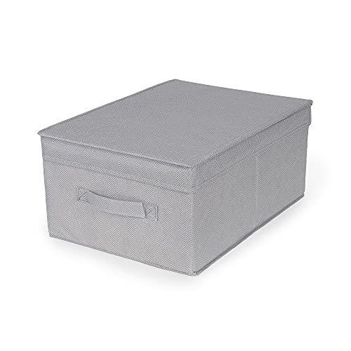 Compactor Scatola Portaoggetti Pieghevole Con Coperchio, Polipropilene Non tessuto e Cartone, 30 x 43 x 19 cm, Gamma Boston, Grigio,