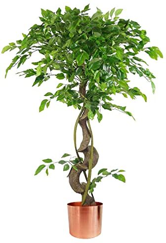 Leaf Albero realistico artificiale giapponese Fruticosa Ficus, rame contorto, 120 cm