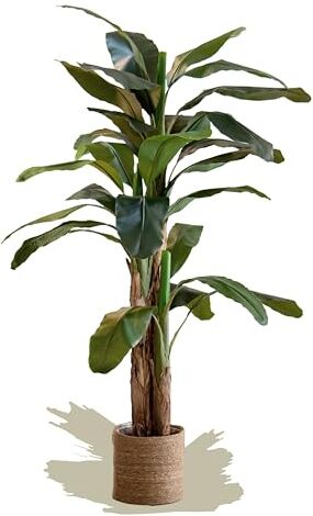 Maia Shop Banana Artificiale da 210 cm per la Decorazione di Casa e Ufficio, Albero, Pianta Artificiale Decorativa Iperrealistica con Tronco Naturale