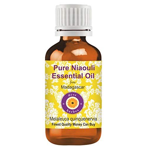 Deve Herbes Puro Niaouli Essenziale Olio (Melaleuca quinquenervia) Naturale Grado Terapeutico Vapore Distillato 15ml (0,50 Oz)