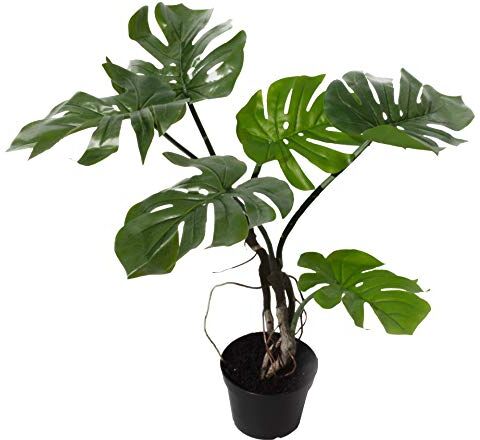 Leaf -7538 Pianta artificiale a stelo attorcigliato, 60 cm