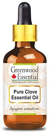 Greenwood Essential Puro olio essenziale di chiodi di garofano (Syzygium aromaticum) distillato a vapore di grado terapeutico naturale con contagocce in vetro 5ml (0,169 once)