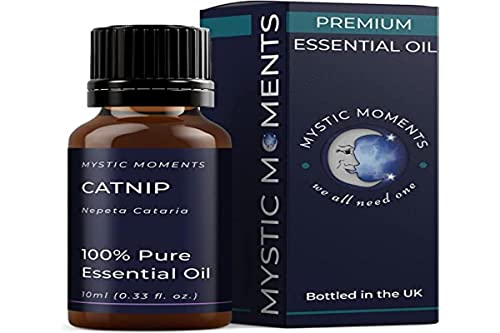 Mystic Moments Olio essenziale Catnip 10 ml Olio puro e naturale per diffusori, aromaterapia e massaggio miscele senza OGM vegano