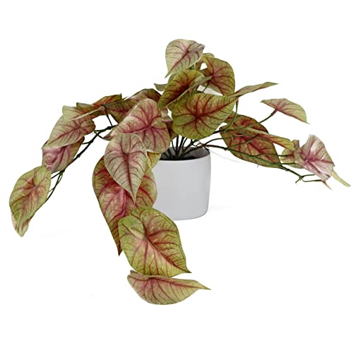 Leaf Design UK Pianta artificiale realistica, 30 cm, in vaso di caladium rosa