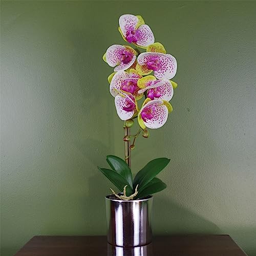 Leaf Orchidea artificiale Arlecchino rosa con vaso argentato, 46 cm