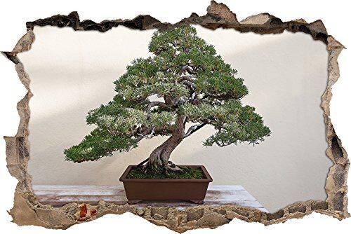 Pixxprint pixxp RINT 3D WD 1555 62 x 42 Piccolo Bonsai svolta da Parete 3D Adesivo in Vinile da Parete, Multicolore, 62 x 42 x 0,02 cm