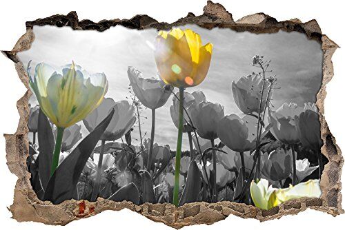 Pixxprint pixxp RINT 3D WD 5311 _ 92 x 62 meravigliosi Tulipano Prato svolta Adesivo da Parete 3D da Parete, in Vinile, Nero/Bianco, 92 x 62 x 0,02 cm