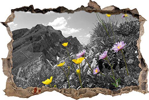 Pixxprint pixxp RINT 3D WD 5247 _ 62 x 42 FANTASMAGORICI Prato Fiorito in Primavera svolta Adesivo da Parete 3D da Parete, in Vinile, Nero/Bianco, 62 x 42 x 0,02 cm