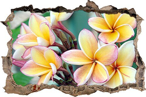 Pixxprint pixxp RINT 3D WD s2082 _ 62 x 42 pareti Monoi Fiori svolta Adesivo da Parete 3D, Vinile, Multicolore, 62 x 42 x 0,02 cm