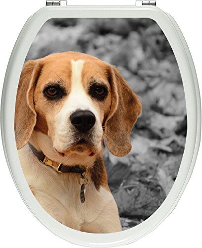 Pixxprint pixxp RINT 3D WCS 4621 _ 32 x 40 Beagle svolge tra Le Foglie Come Materiale Coperchio Adesivi, WC Coperchio WC, gläzendes, Piccolo Nero/Bianco, 40 x 32 cm