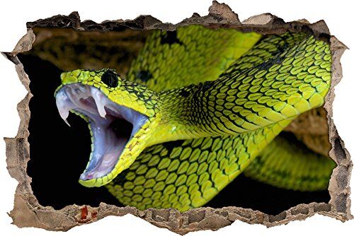 Pixxprint pixxp RINT 3D WD s2660 _ 62 x 42 Verde Gift Serpente svolta Adesivo da Parete 3D da Parete, in Vinile, Multicolore, 62 x 42 x 0,02 cm