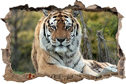 Pixxprint pixxp RINT 3D WD S1431 _ 62 x 42 majestätischer Tiger sul Prato svolta Adesivo da Parete 3D da Parete, in Vinile, Multicolore, 62 x 42 x 0,02 cm