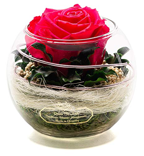 Rosen-Te-Amo Festa della mamma Infinity Rose   Premium conservate in vaso di vetro   fragrante   fatto a mano con vera decorazione   design fine   regalo di compleanno per donne mamma fidanzata