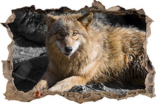 Pixxprint pixxp RINT 3D WD s4760 _ 92 x 62 in sosta Schöner Wolf con Pelliccia Marrone svolta Adesivo da Parete 3D da Parete, in Vinile, Nero/Bianco, 92 x 62 x 0,02 cm