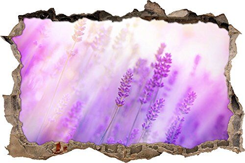 Pixxprint pixxp RINT 3D WD S2081 _ 62 x 42 splendido Lavanda nella Nebbia svolta Adesivo da Parete 3D da Parete, in Vinile, Multicolore, 62 x 42 x 0,02 cm