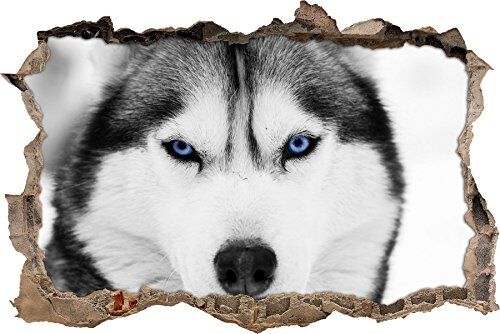 Pixxprint pixxp RINT 3D WD 5006 _ 62 x 42 Husky con Occhi Blu svolta Adesivo da Parete 3D da Parete, in Vinile, Nero/Bianco, 62 x 42 x 0,02 cm