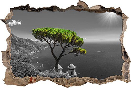 Pixxprint pixxp RINT 3D WD 4945 _ 62 x 42 medit eraner Albero sul Mar Mediterraneo svolta Adesivo da Parete 3D da Parete, in Vinile, Nero/Bianco, 62 x 42 x 0,02 cm