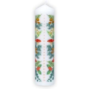 Talking Tables Candela dell'Avvento a pilastro natalizio della foresta, 20 cm, 25 ore di combustione, cena, decorazione, candele regalo per donne Talking Tables Candela dell'Avvento a pilastro natalizio della foresta, 20 cm, 25 ore di combustione, cena, decorazione, candele regalo per donne