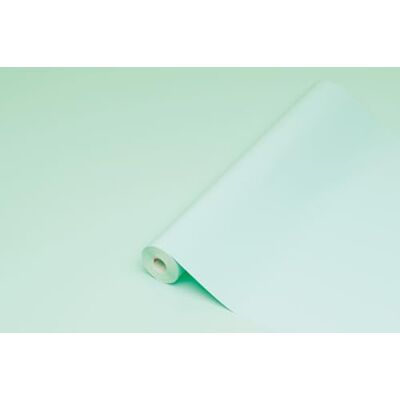 Vinile Autoadesivo Menta D-C-Fix - 0,45x2m - Rivestimento Vinile Autoadesivo Menta D-C-Fix - 0,45x2m - Rivestimento