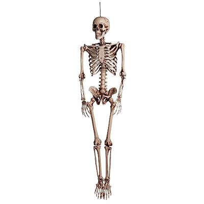 Ciao Scheletro in Plastica (160cm) Decorazione per Halloween e Feste Colore Bianco Ciao Scheletro in Plastica (160cm) Decorazione per Halloween e Feste Colore Bianco