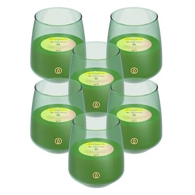 Spaas 6 LushGlow Candele Profumate alla Citronella, ± 38 ore, Verde Vivido Spaas 6 LushGlow Candele Profumate alla Citronella, ± 38 ore, Verde Vivido